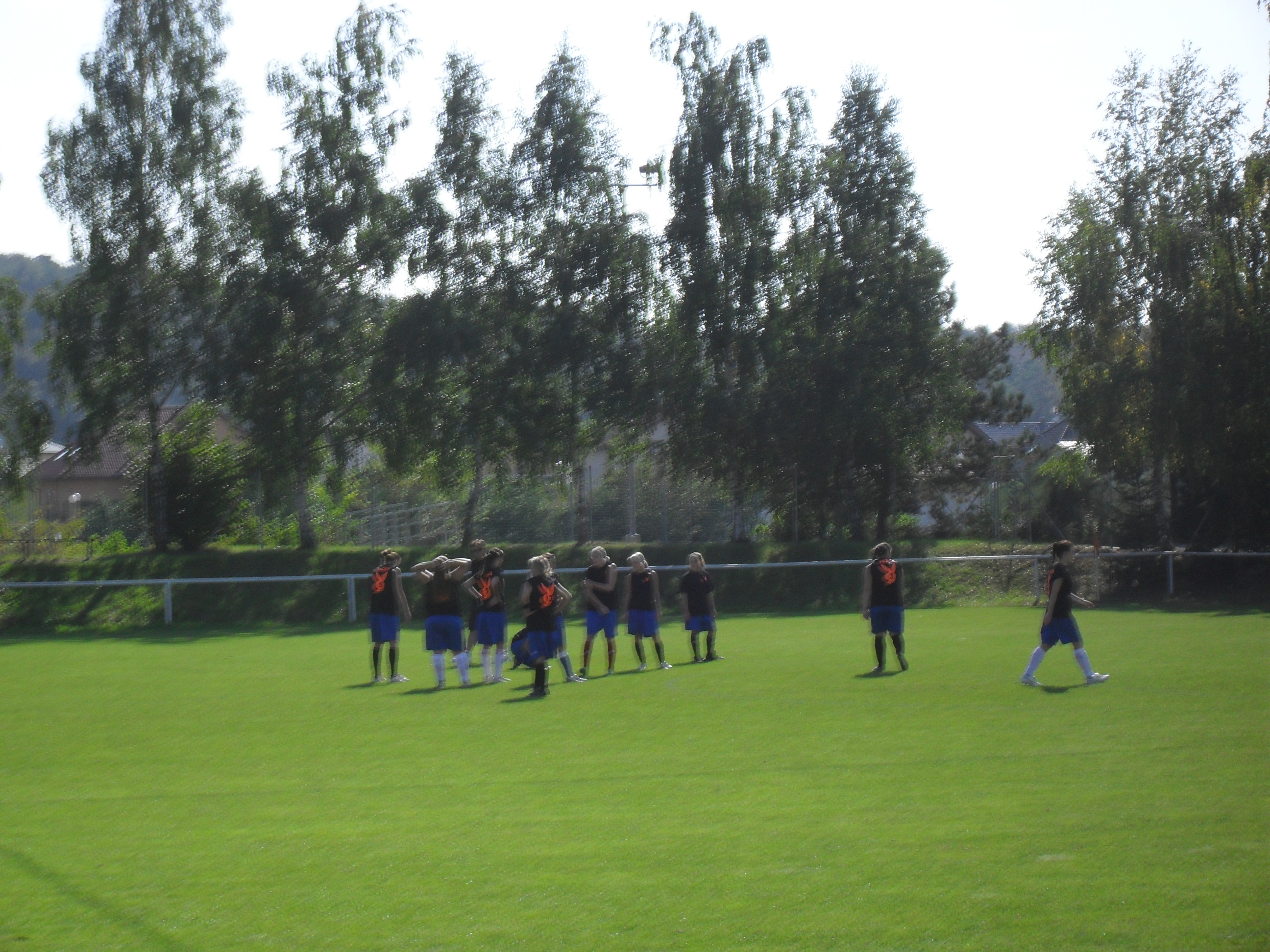 SDC11619