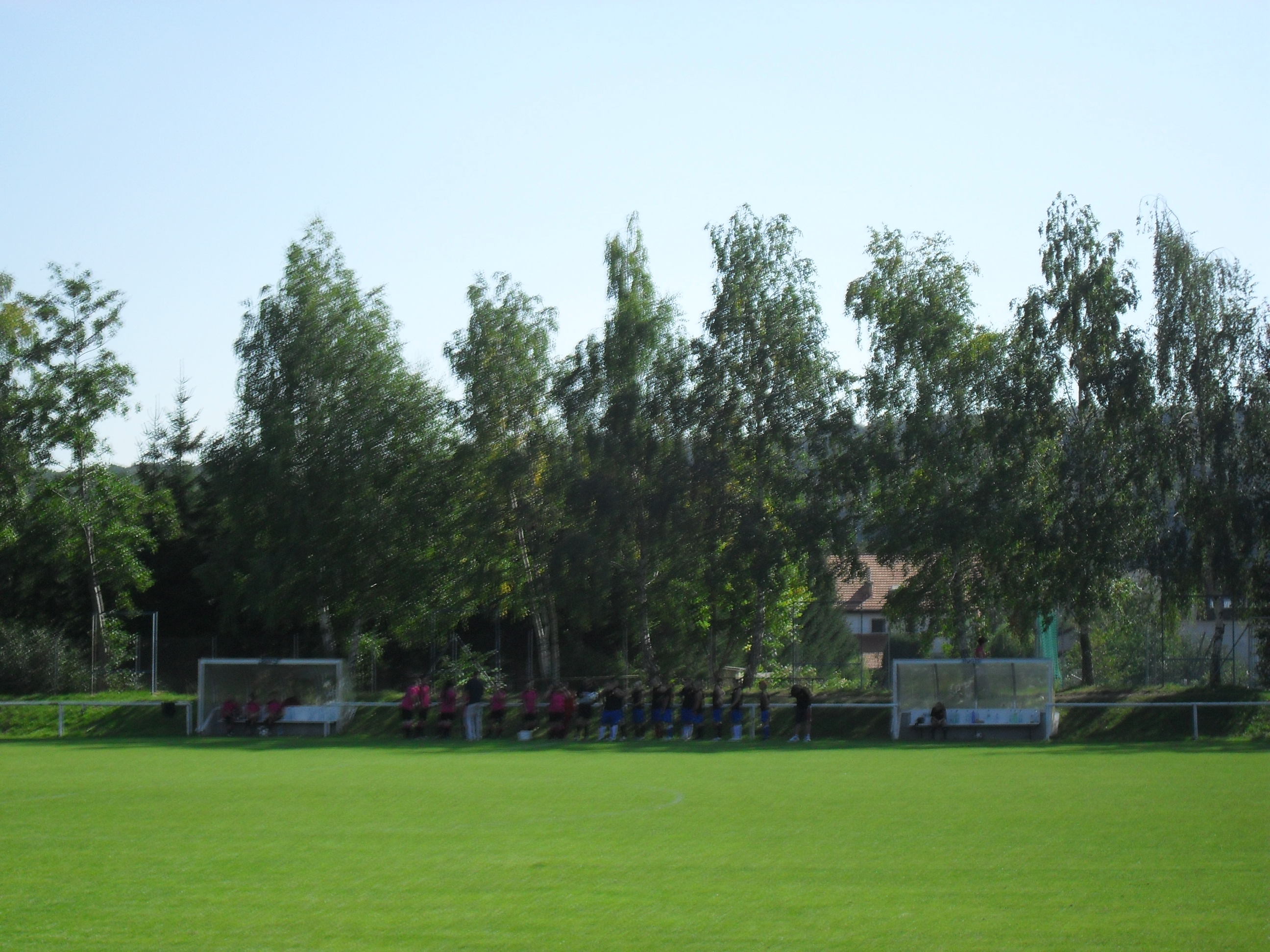 SDC11625